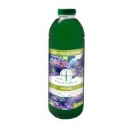 Phyto-Green - for coral growth and coloring 1 liter