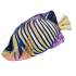 Regal Angelfish - pagalvė, pliušinė žuvis (M)
