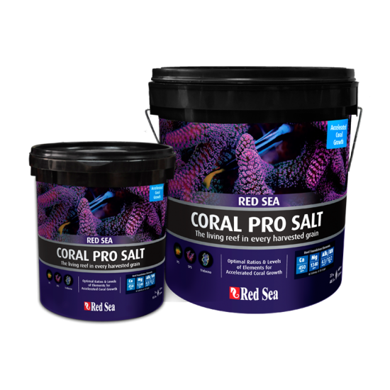 Red Sea Coral Pro Salt, bucket (7Kg)