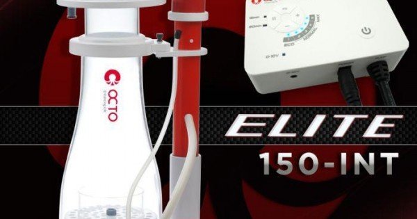 1x-600x315w.jpg