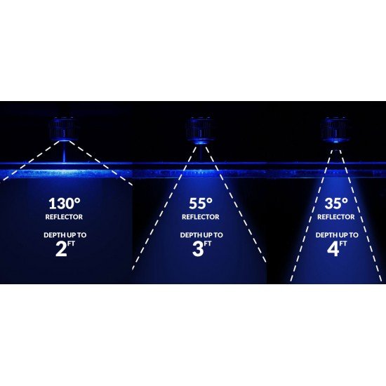 Kessil Reflector (35°)