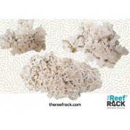 The Reef Rock - S (20kg)