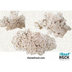 The Reef Rock - L (20kg)