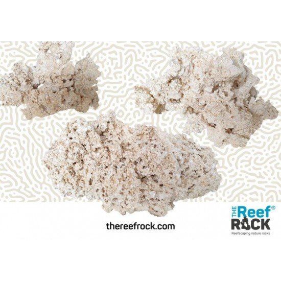 The Reef Rock - S (20kg)