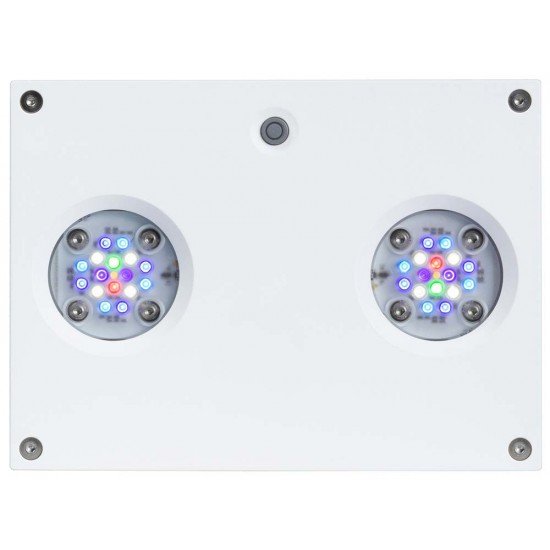 AI Hydra 32HD - 32-LED aquarium lighting, white (~90W)