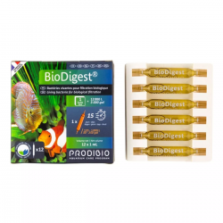 BioDigest Live Bacteria (12 ampolių)