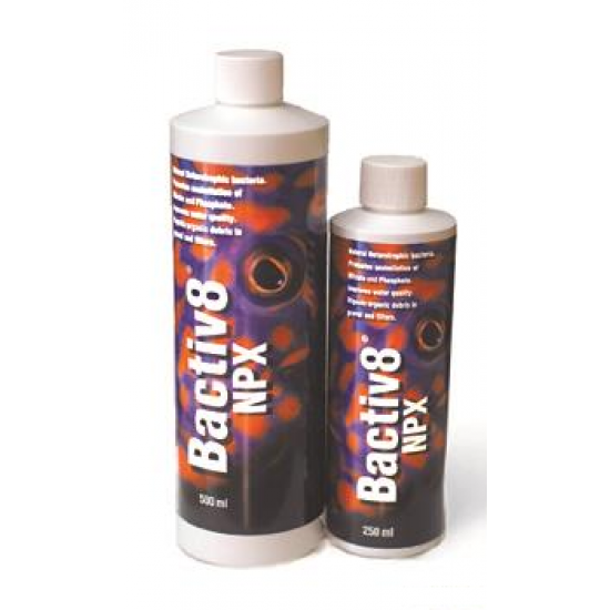 Bactiv8 NPX - bakterijų biologinei pusiausvyrai (250ml/500ml)