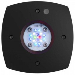 AI Prime 16HD - 16-LED aquarium lighting, black (~55W)